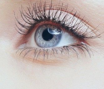 Anatomie - Das Auge